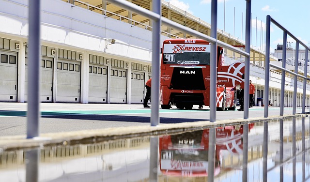 观众人数将 观众人数将