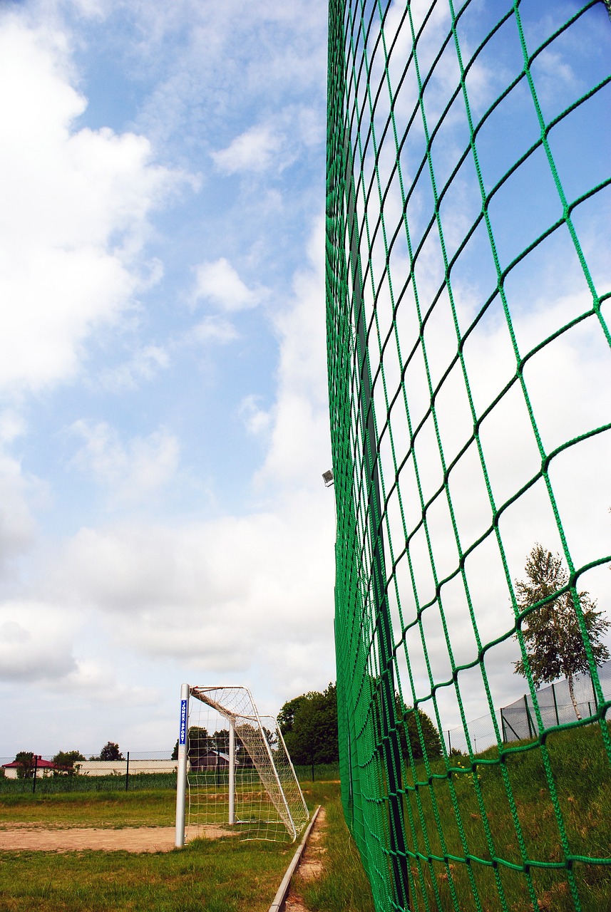 也可能成为 也可能成为