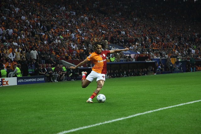 并接受日常 并接受日常