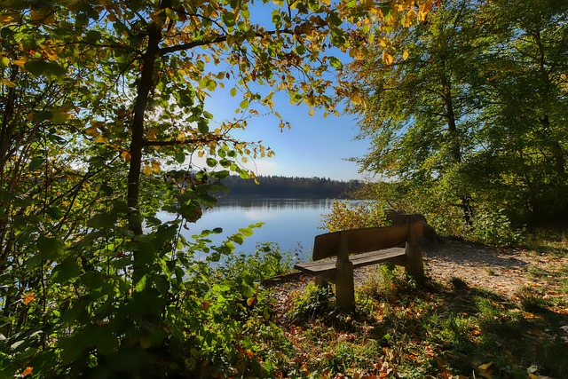 引发了公众 引发了公众