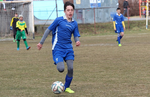 区域荣誉等 区域荣誉等