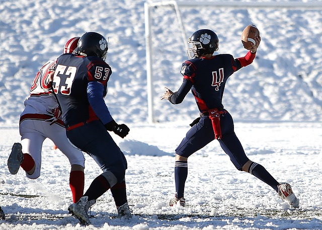 后一届全运 后一届全运