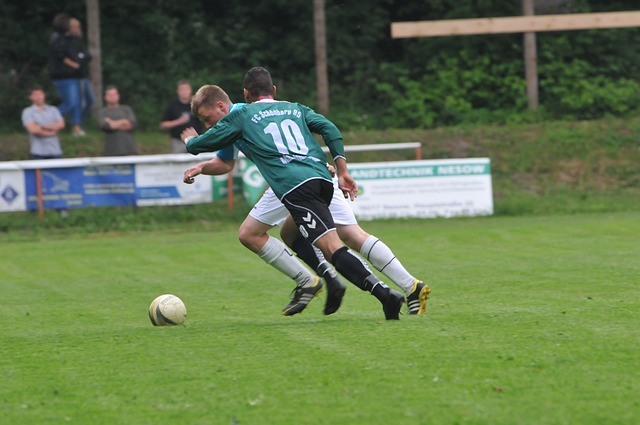 他在心理耐 他在心理耐