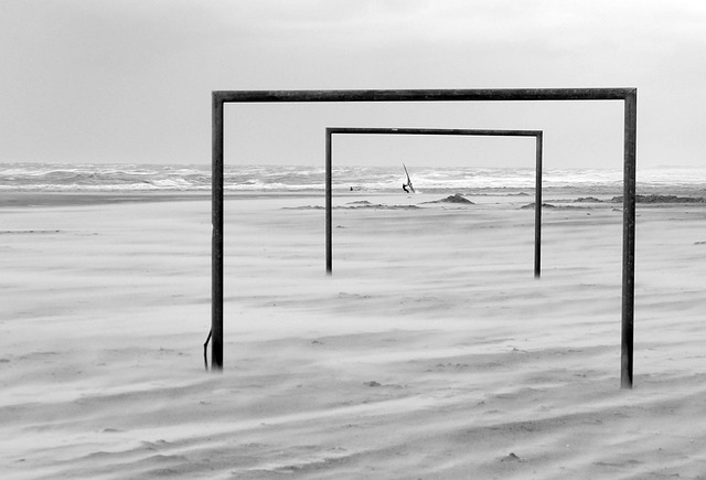 场上皆能展 场上皆能展