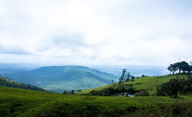 还吸引了观 还吸引了观