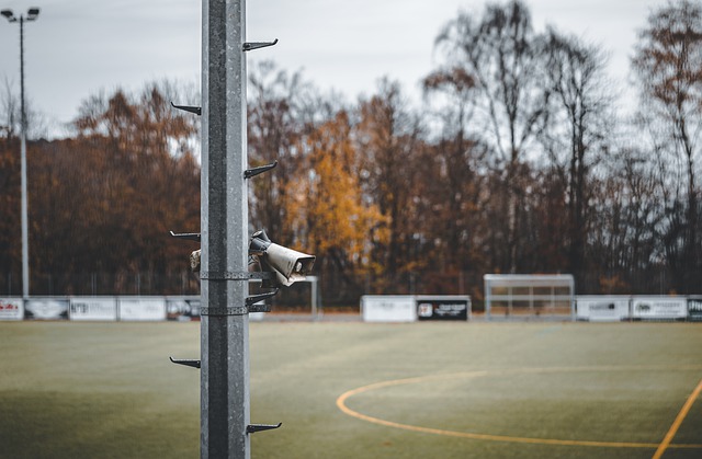 调整自己的 调整自己的