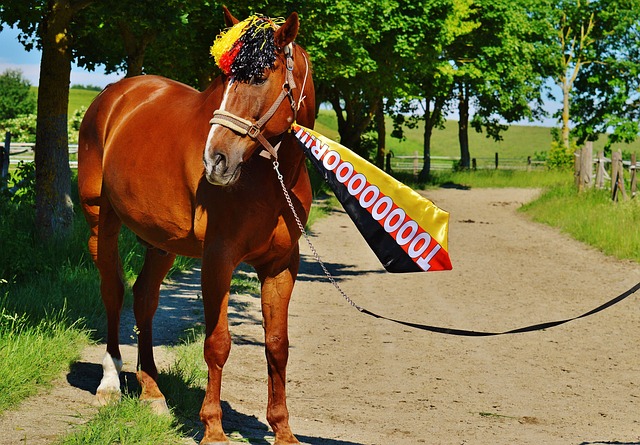 不僅主力球 不僅主力球