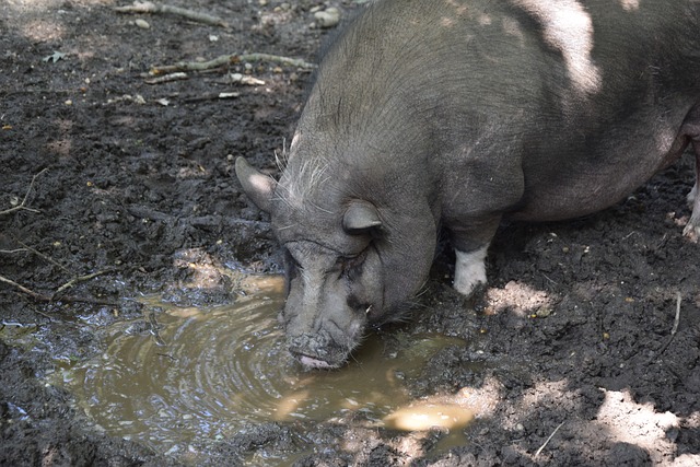 次压哨绝杀 次压哨绝杀