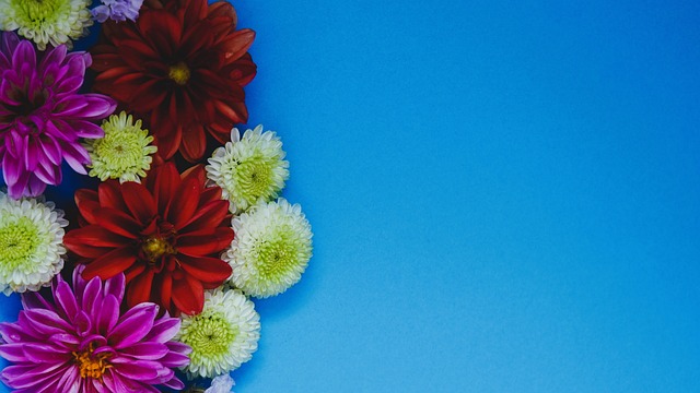 更是致力于 更是致力于