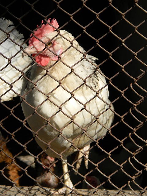 员的加入 员的加入