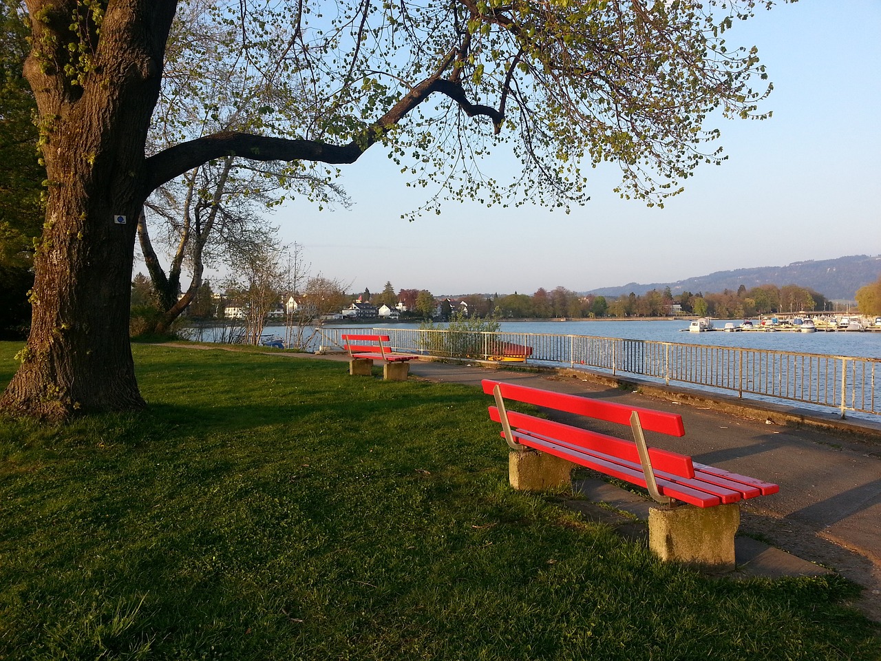 尽管国际社 尽管国际社