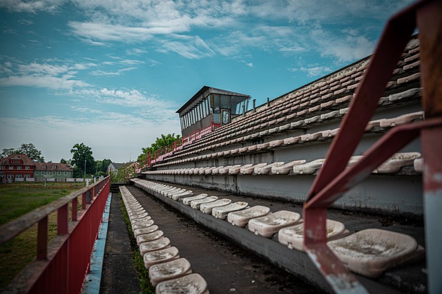 的完美结合 的完美结合